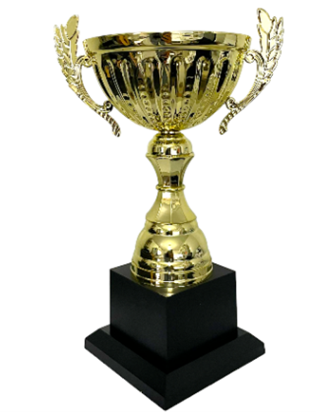 גביע נצחון כללי בינוני - 30 ס