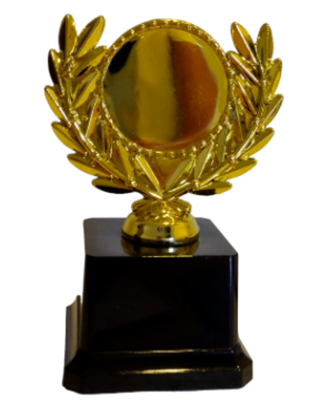 גביע נצחון כללי