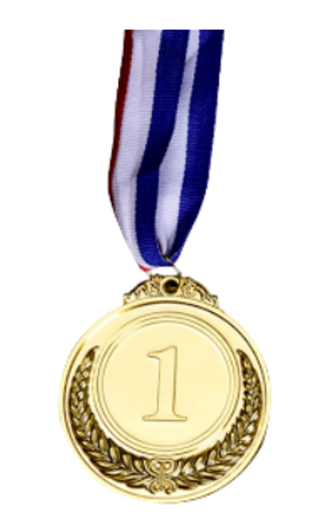 מדליה אישית- מקום 1 (זהב)