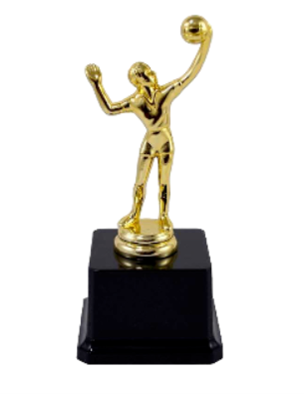 גביע נצחון כדורעף