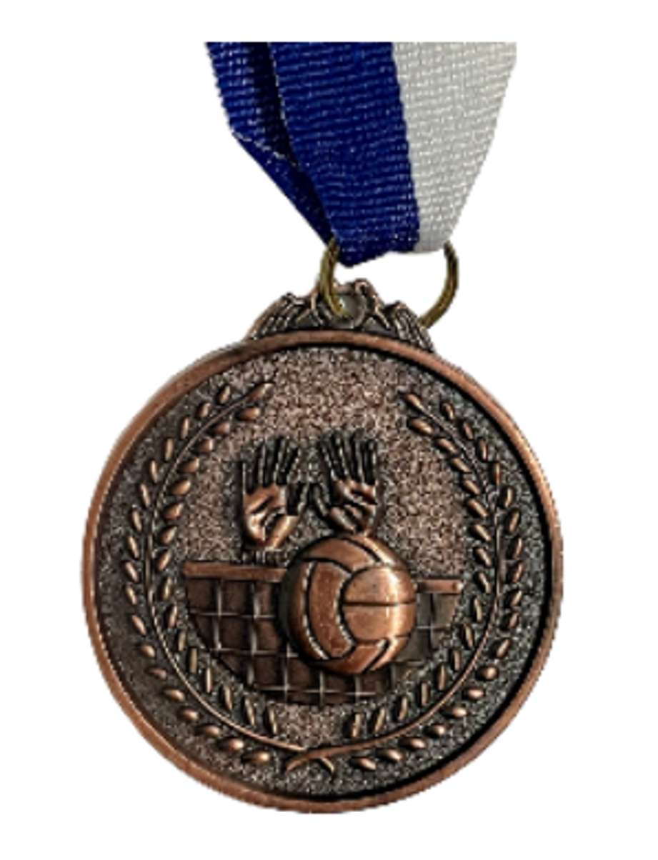 מדלית כדורעף/כדורשת מקום 3 (ארד)