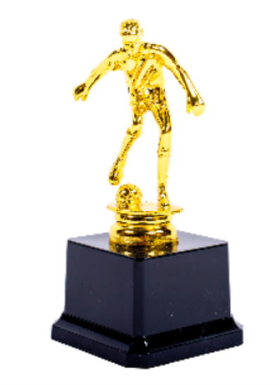 גביע נצחון כדורגל