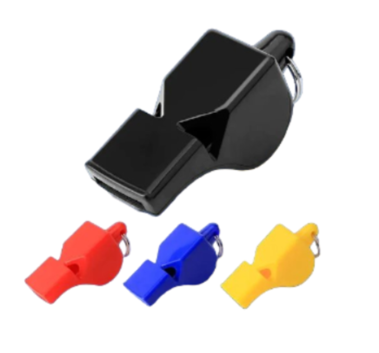 משרוקית מאמן מקצועית