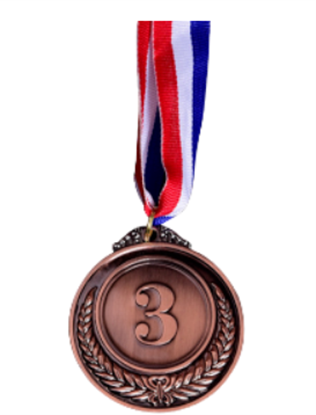מדליה אישית- מקום 3 (ארד)