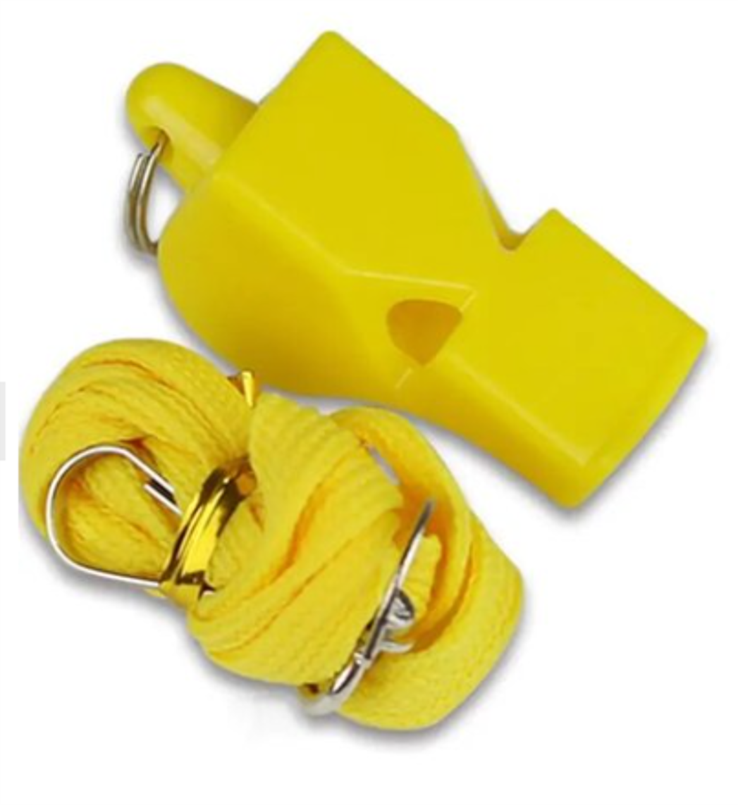 משרוקית מאמן מקצועית