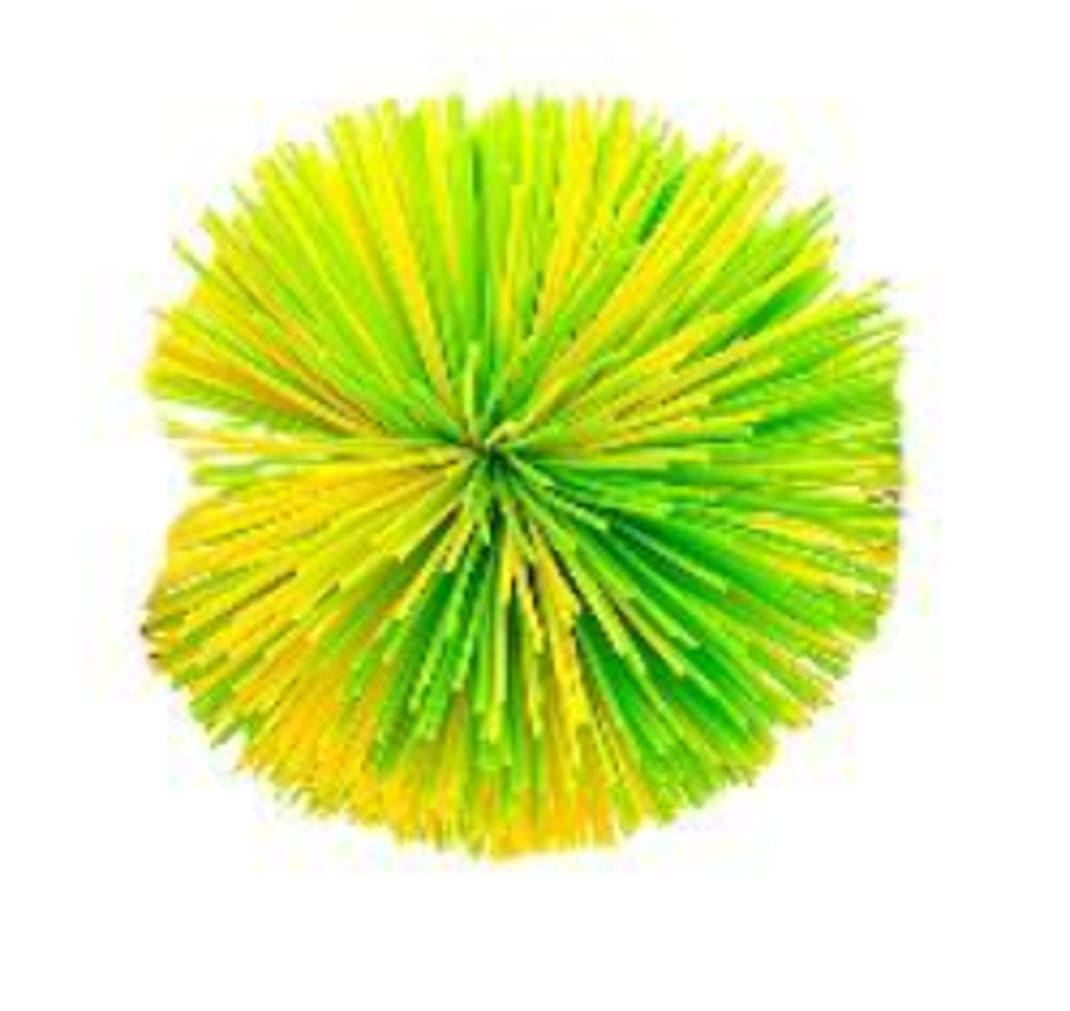 קיפודור - כדור שיערות גומי